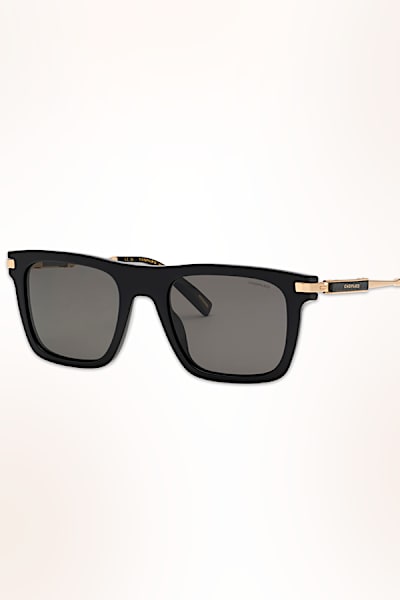 Men's luxury sunglasses